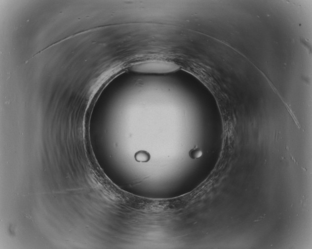 X0000103290148200809051507