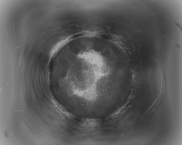 X0000103290149200809051507