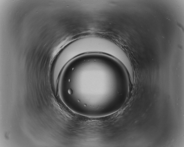 X0000103290150200809051507