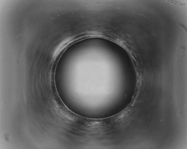 X0000103290151200809051507