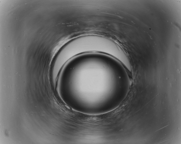 X0000103290152200809051507