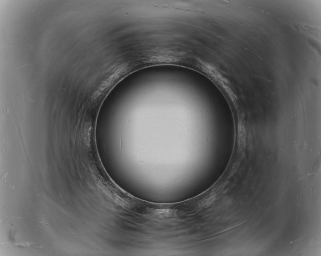 X0000103290153200809051507