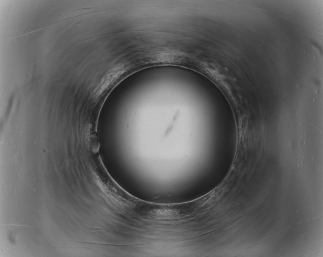 X0000103290154200809051507