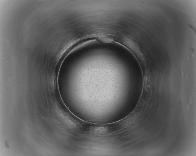 X0000103290156200809051507