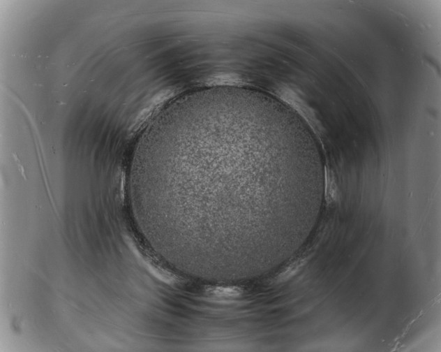 X0000103290157200809051507