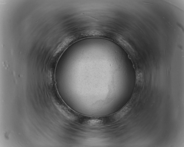 X0000103290158200809051508