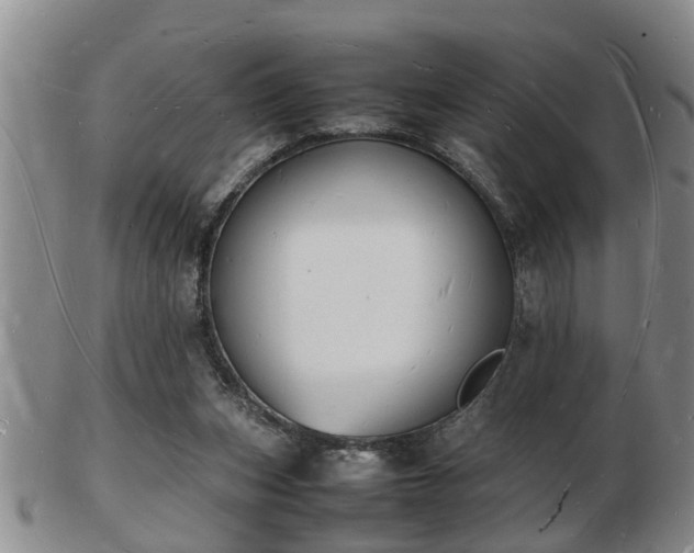 X0000103290159200809051508