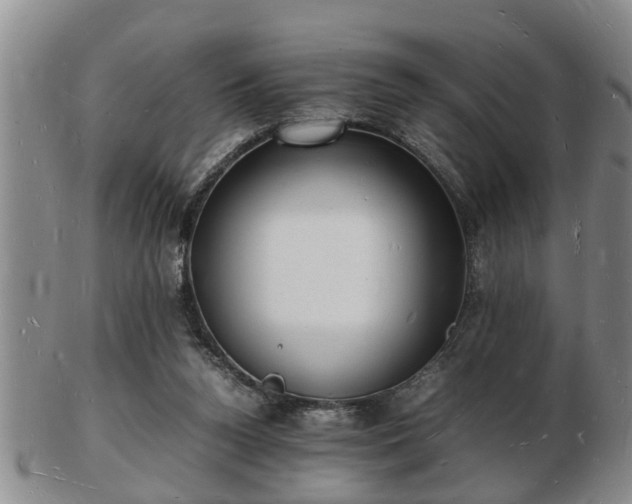 X0000103290160200809051508