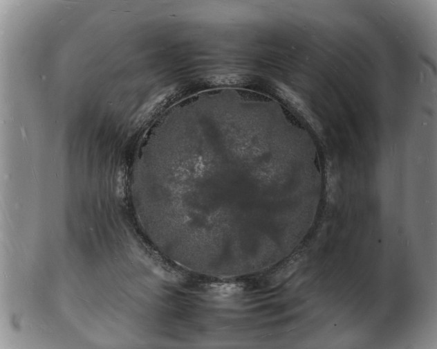 X0000103290161200809051508