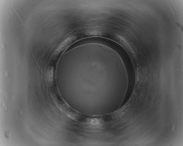 X0000103290163200809051508