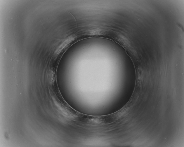 X0000103290164200809051508