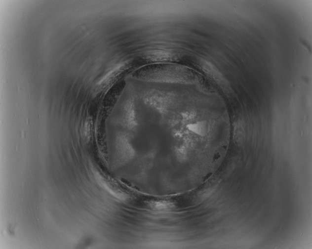 X0000103290165200809051508