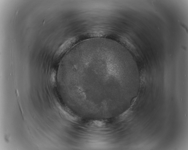X0000103290166200809051508