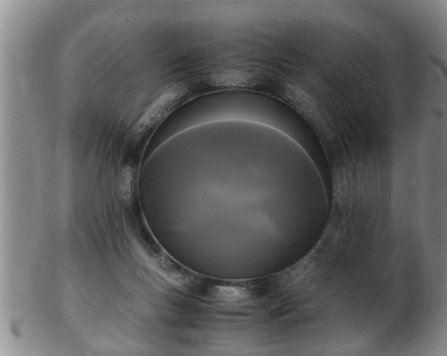 X0000103290167200809051508