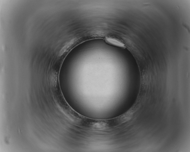 X0000103290168200809051508