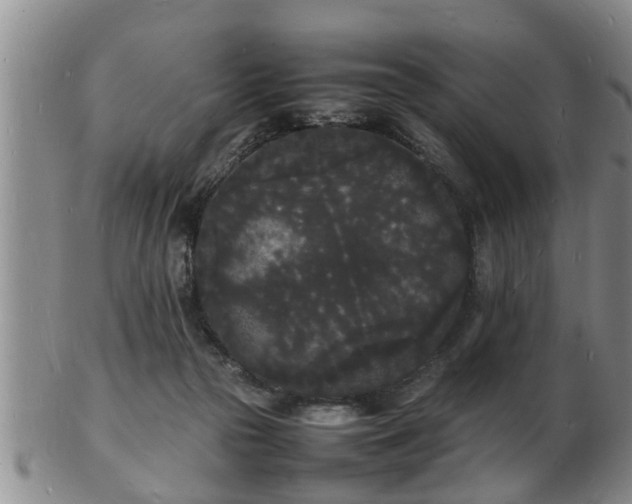 X0000103290169200809051508