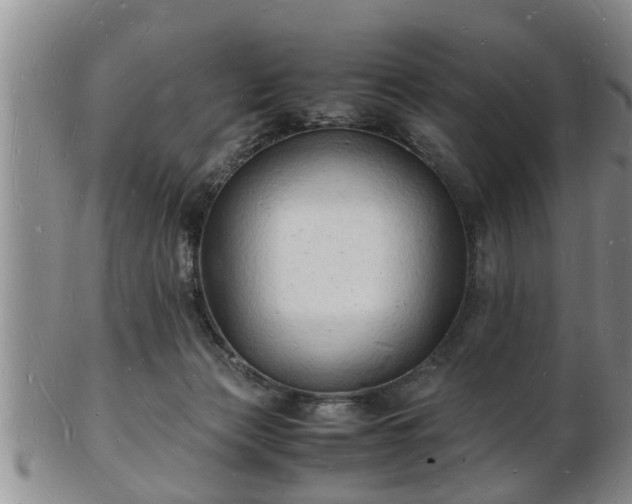 X0000103290173200809051508