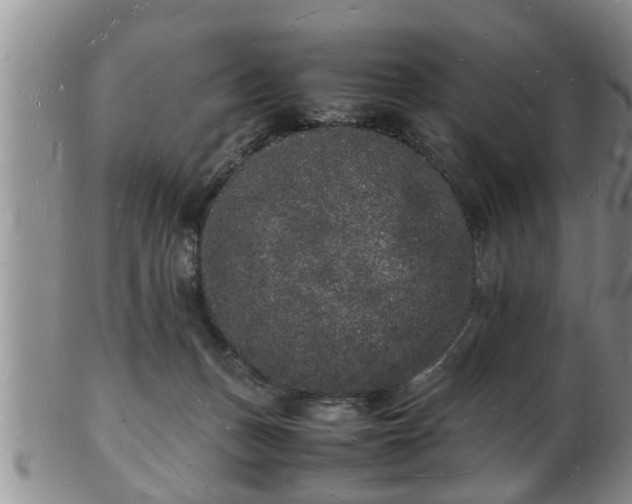 X0000103290175200809051508