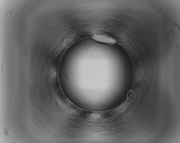 X0000103290176200809051508