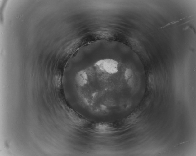 X0000103290177200809051508