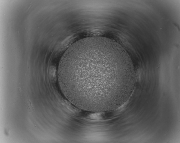 X0000103290178200809051508