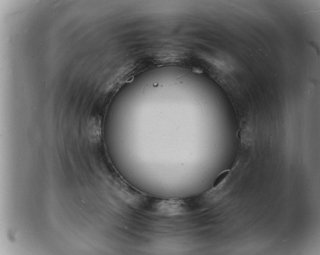 X0000103290179200809051508