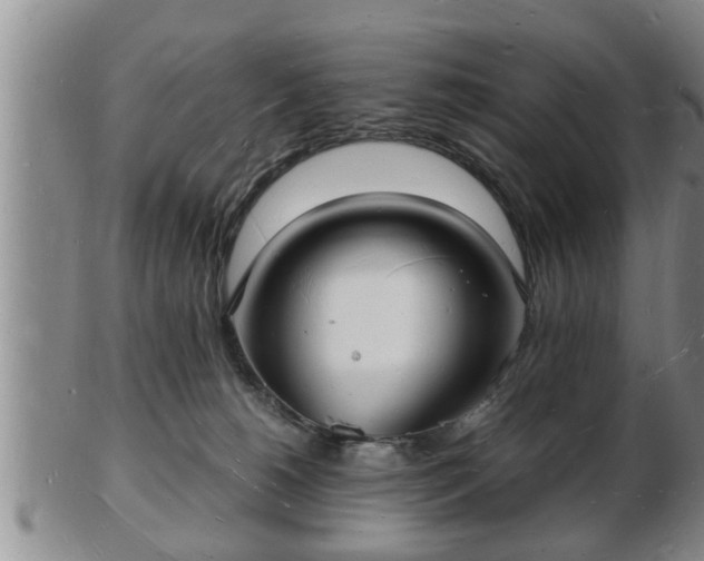 X0000103290180200809051508