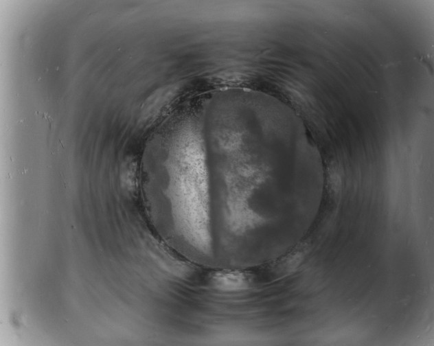 X0000103290181200809051508