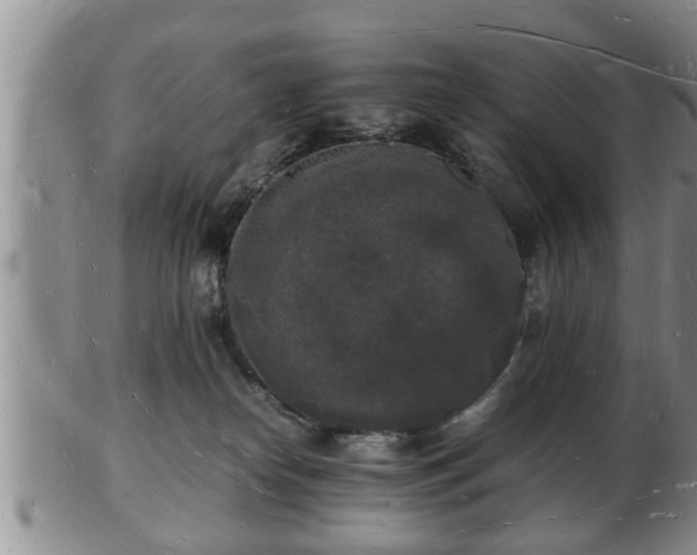 X0000103290182200809051508