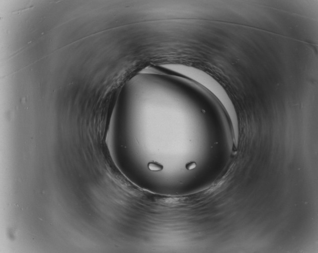 X0000103290184200809051508