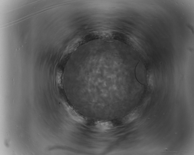 X0000103290185200809051508