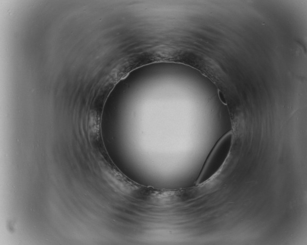 X0000103290186200809051508