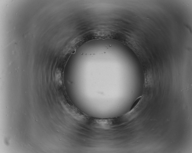 X0000103290187200809051508