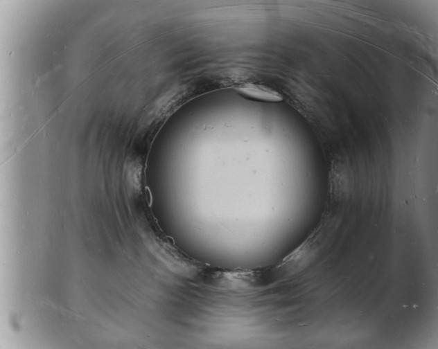 X0000103290188200809051508