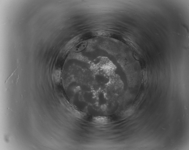 X0000103290189200809051508