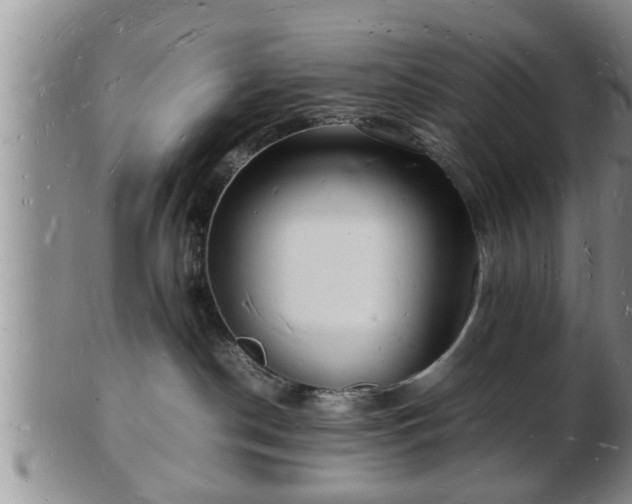 X0000103290190200809051508