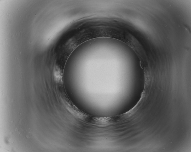 X0000103290191200809051508