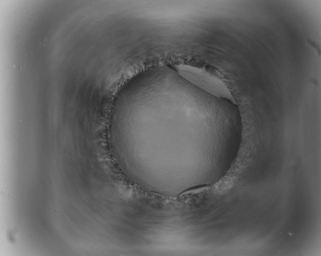 X0000103290192200809051508