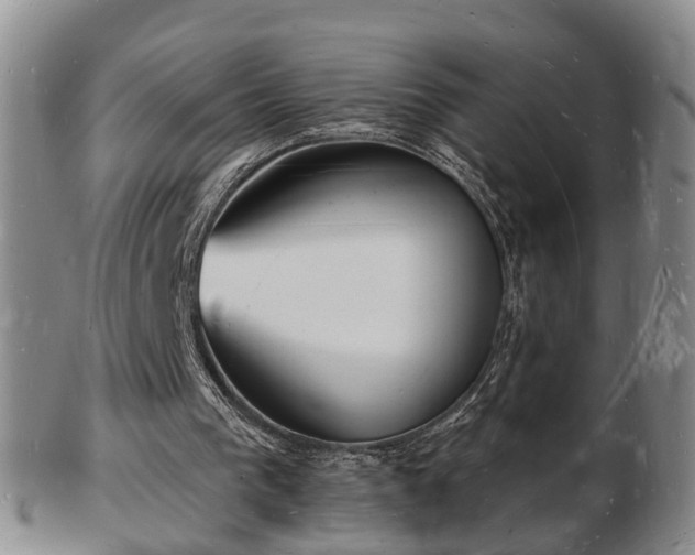 X0000103290193200809051507