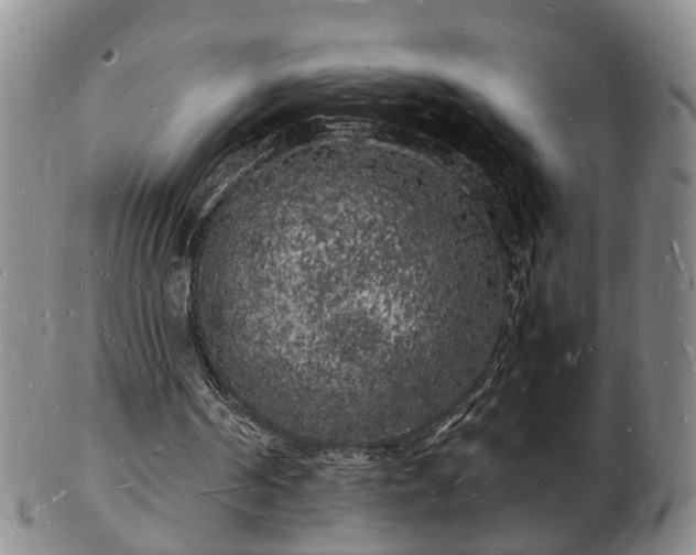 X0000103290194200809051507