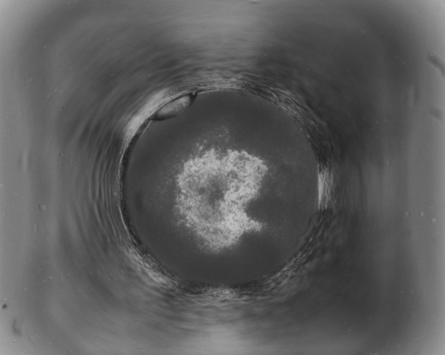 X0000103290195200809051507