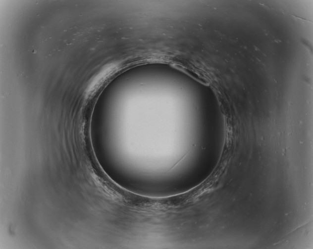 X0000103290197200809051507