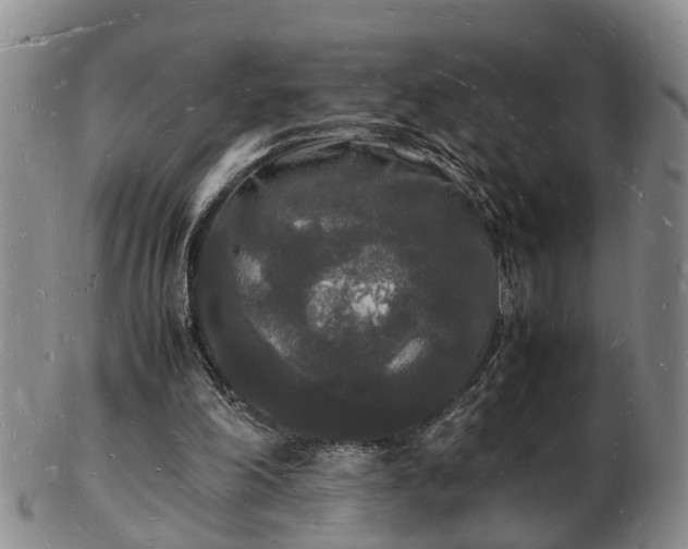 X0000103290198200809051507