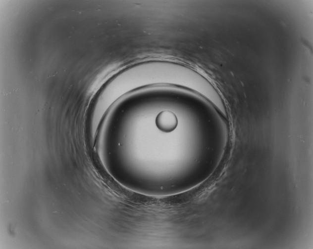 X0000103290199200809051507