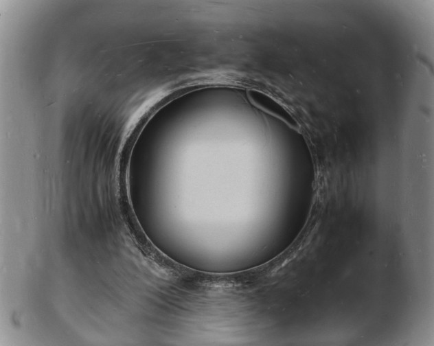 X0000103290200200809051507