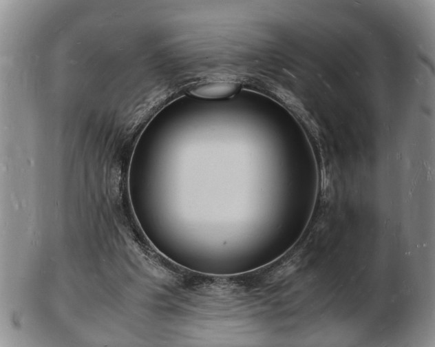 X0000103290201200809051507