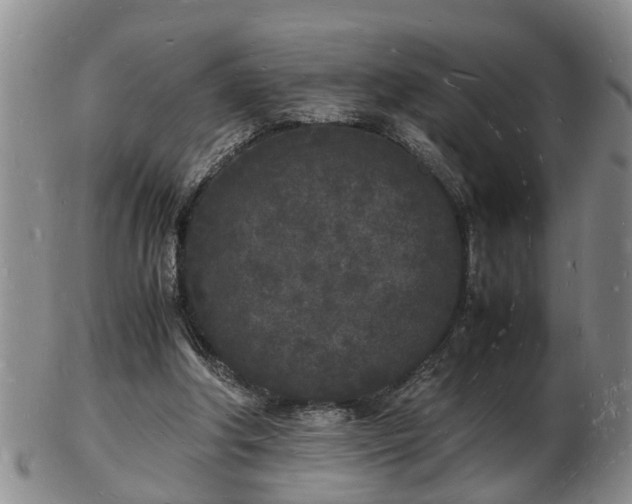 X0000103290202200809051507