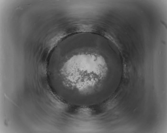 X0000103290203200809051507