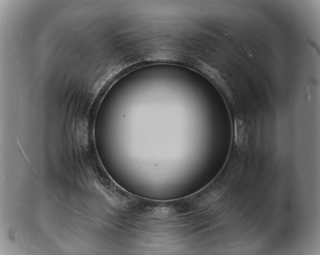 X0000103290204200809051507