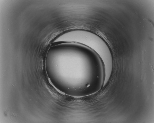 X0000103290205200809051507